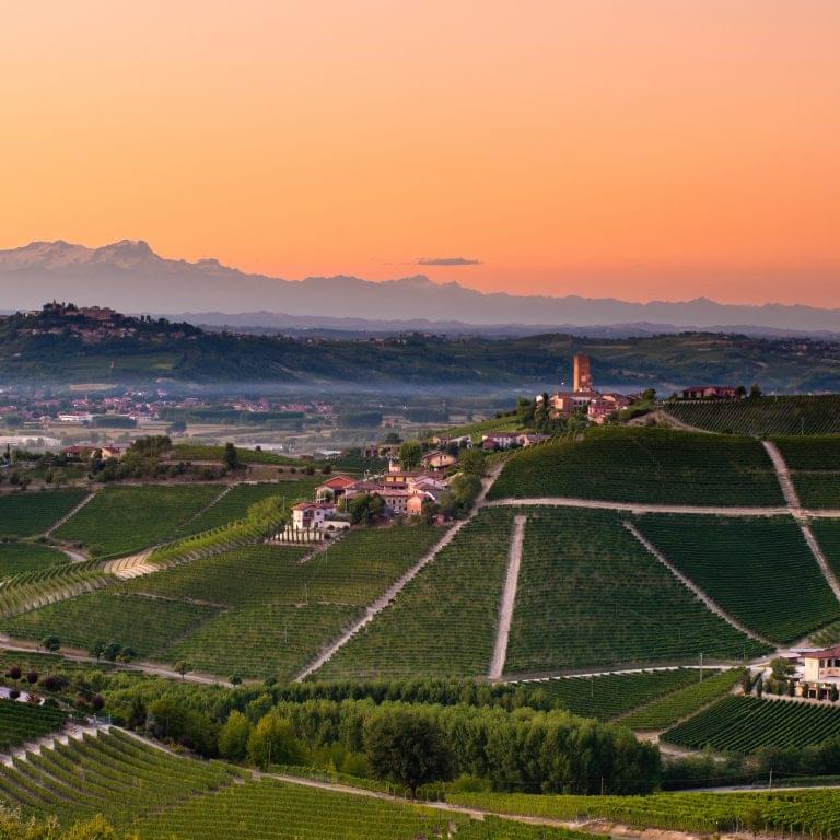 Landscape of a vineyard in Piedmont Italy