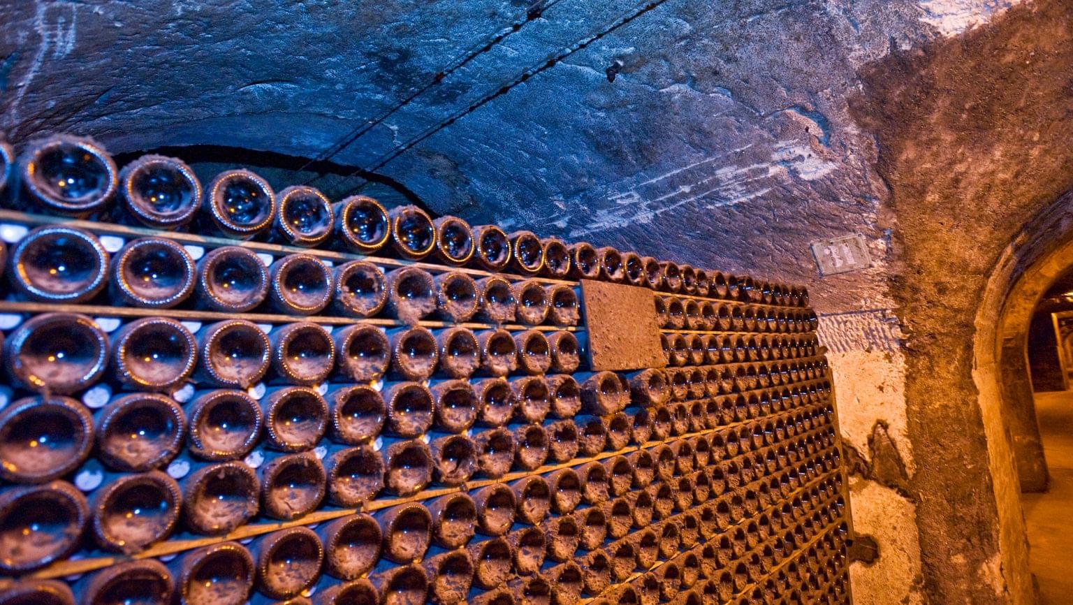 How Library Wines Help Build a Legacy SevenFifty Daily