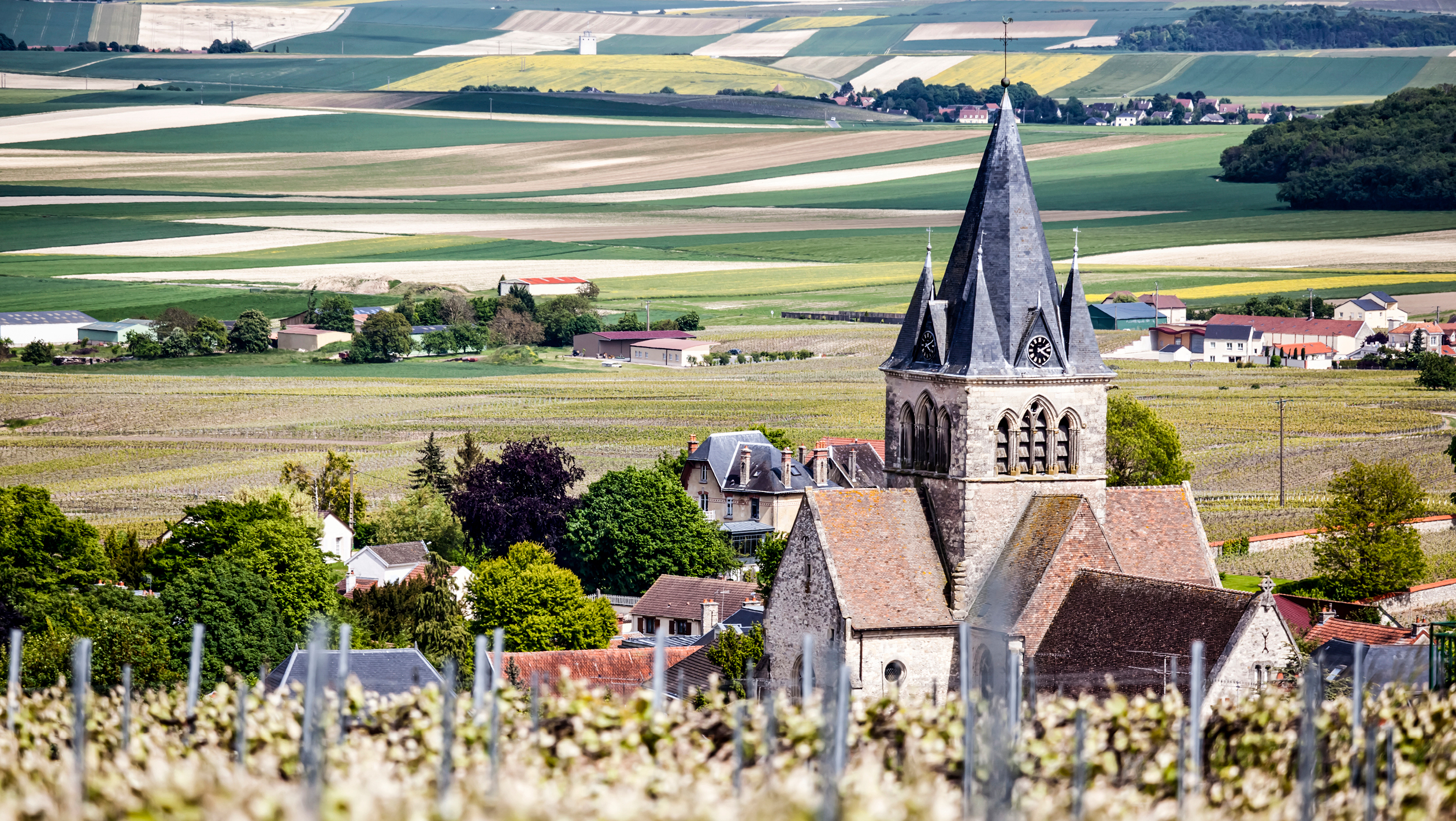 A journey through France's Champagne-Ardenne region