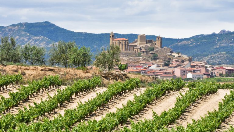 Rioja vineyards.
