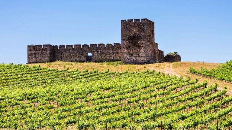 Alentejo wine region