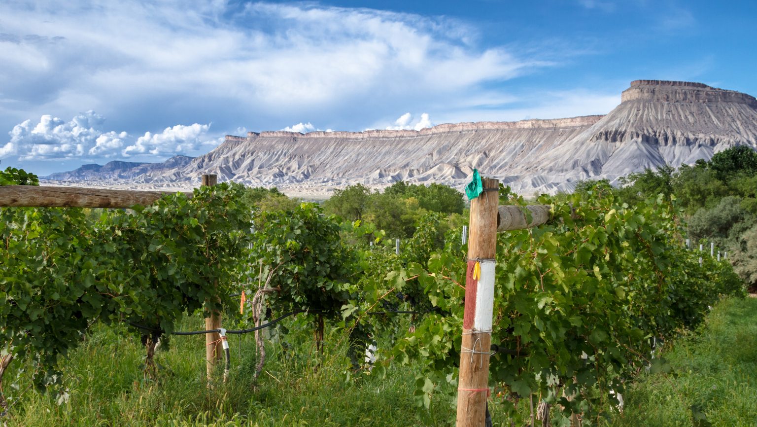 https://daily.sevenfifty.com/app/uploads/2018/09/SFD_Emerging_Wine_Regions-Grand_Valley_CO_CR_istock_2520x1420-1536x866.jpg