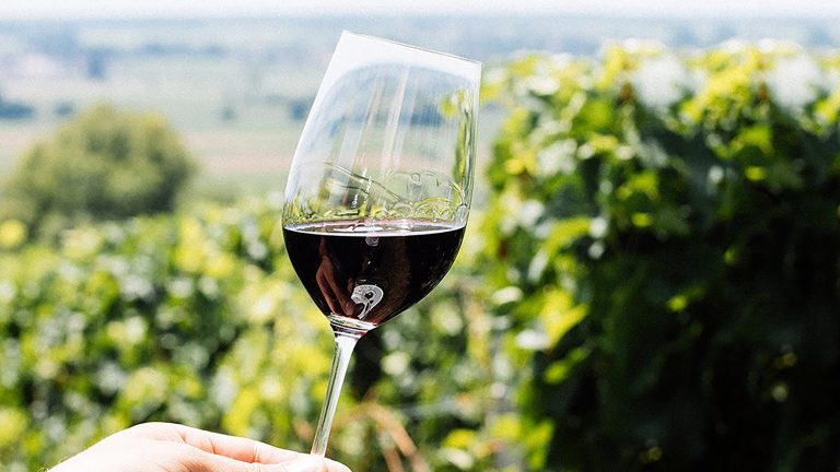 5 Facts to Know About Bordeaux Today | SevenFifty Daily