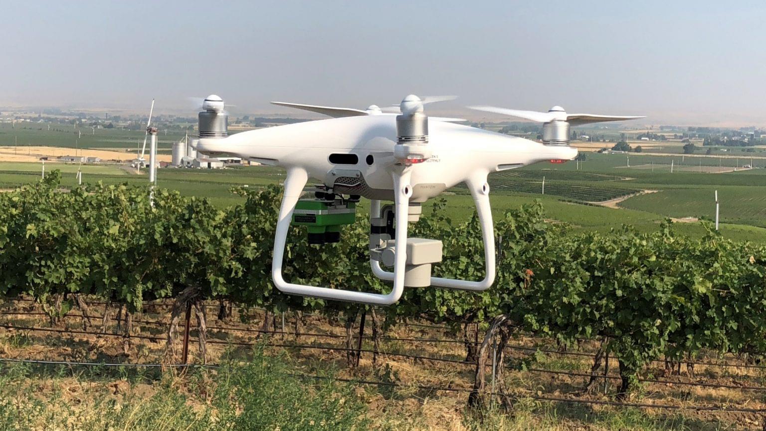 New Ways Drones Are Changing Vineyard Management SevenFifty Daily