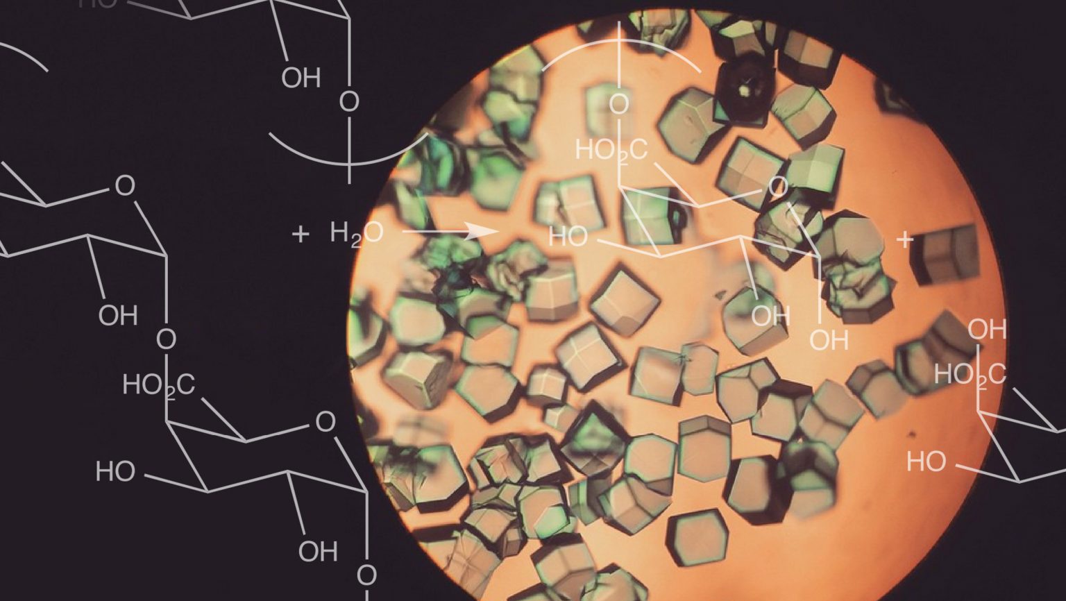 https://daily.sevenfifty.com/app/uploads/2019/05/SFD_Science_of_Enzymes_1_CR_photo-illo_JQ_2520x1420-1536x866.jpg