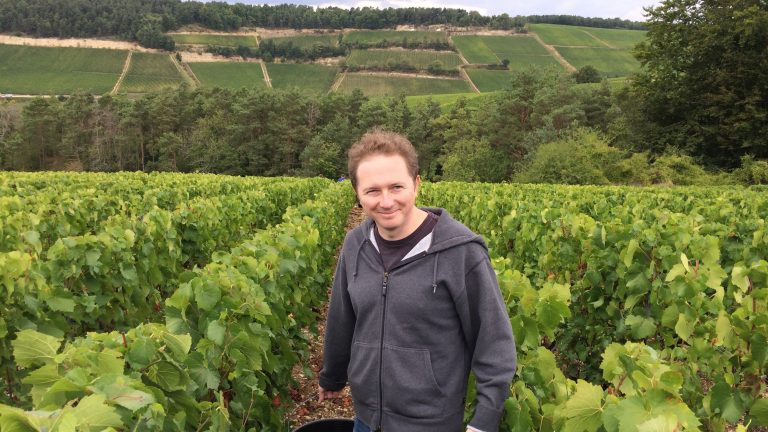 How Champagne Producers are Preserving Acidity as the Climate Changes ...