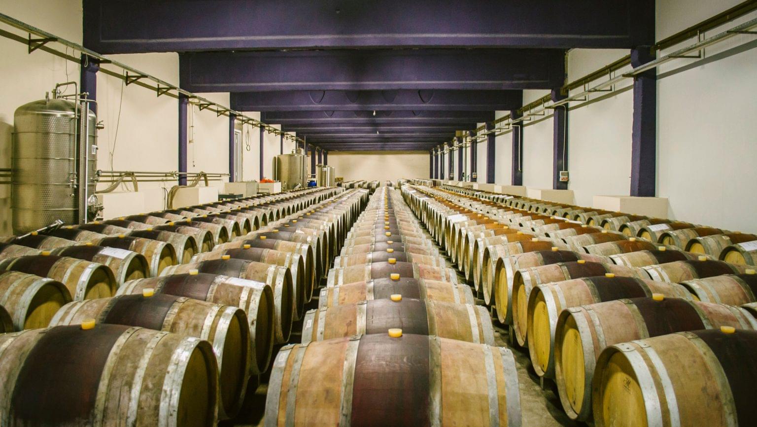 Understanding the Wine Boom SevenFifty Daily
