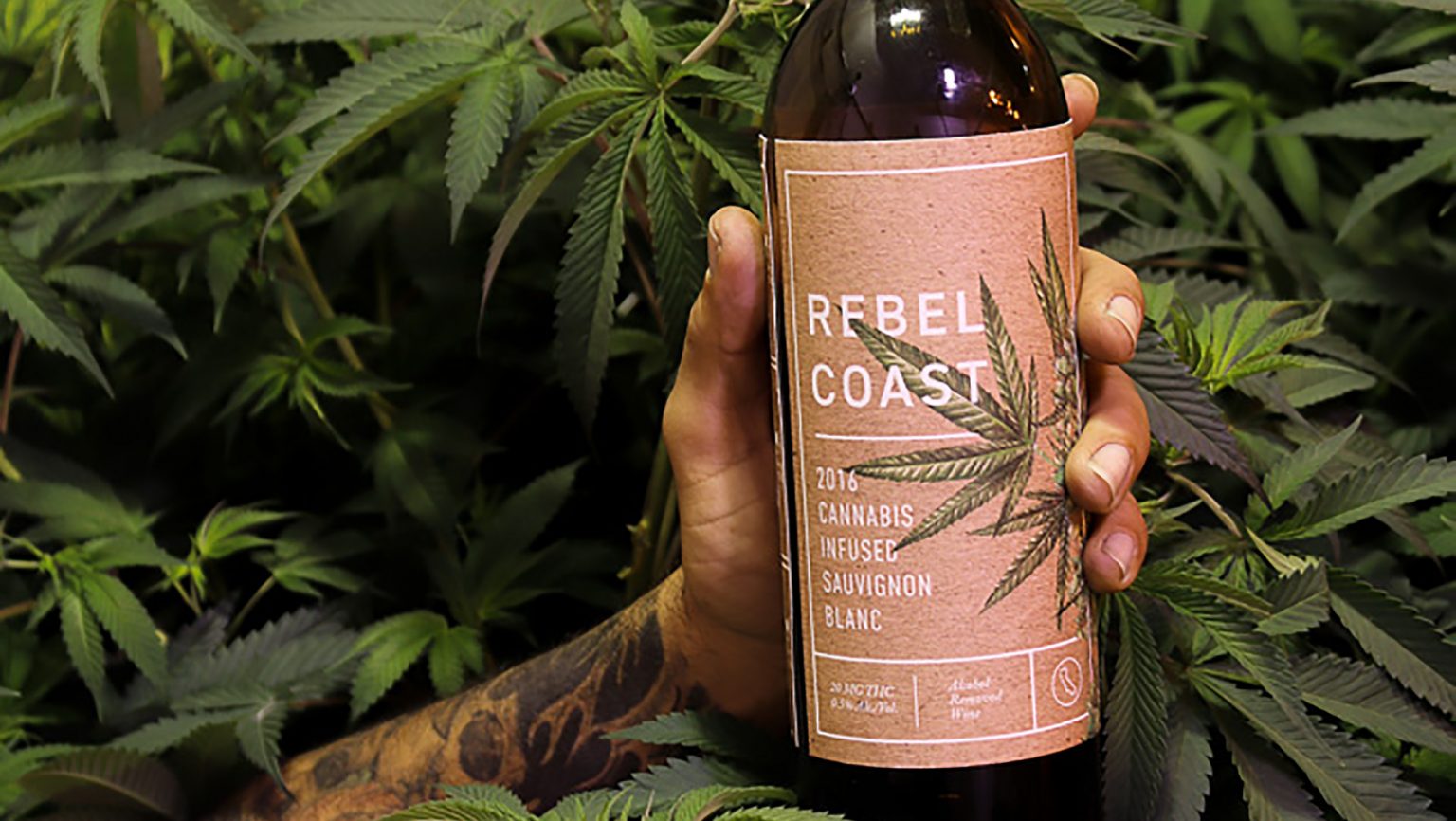 Understanding the Evolution of Cannabis Wine SevenFifty Daily