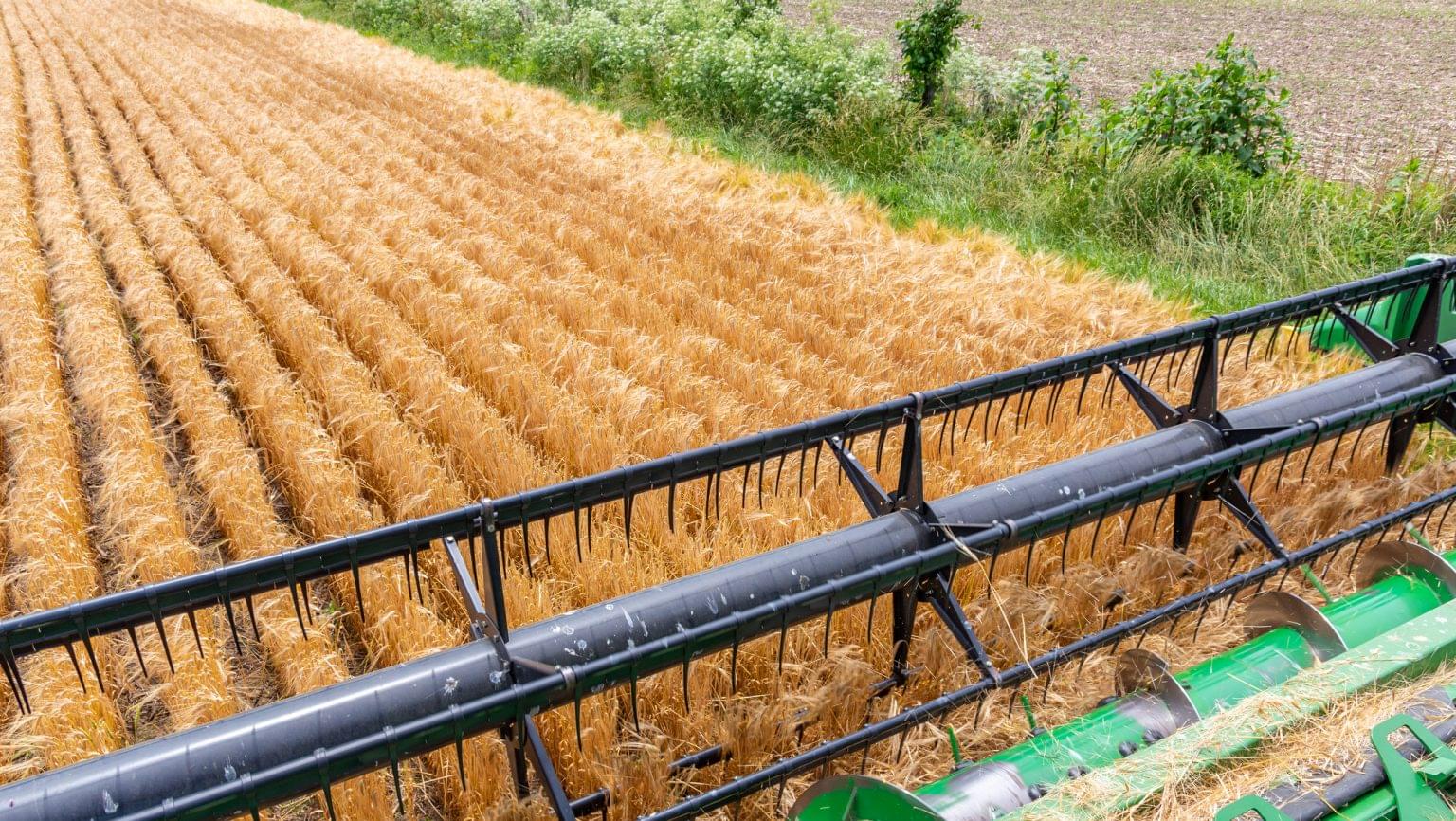 Origin Malt is Igniting a SeedtoSip Beer Revolution SevenFifty Daily