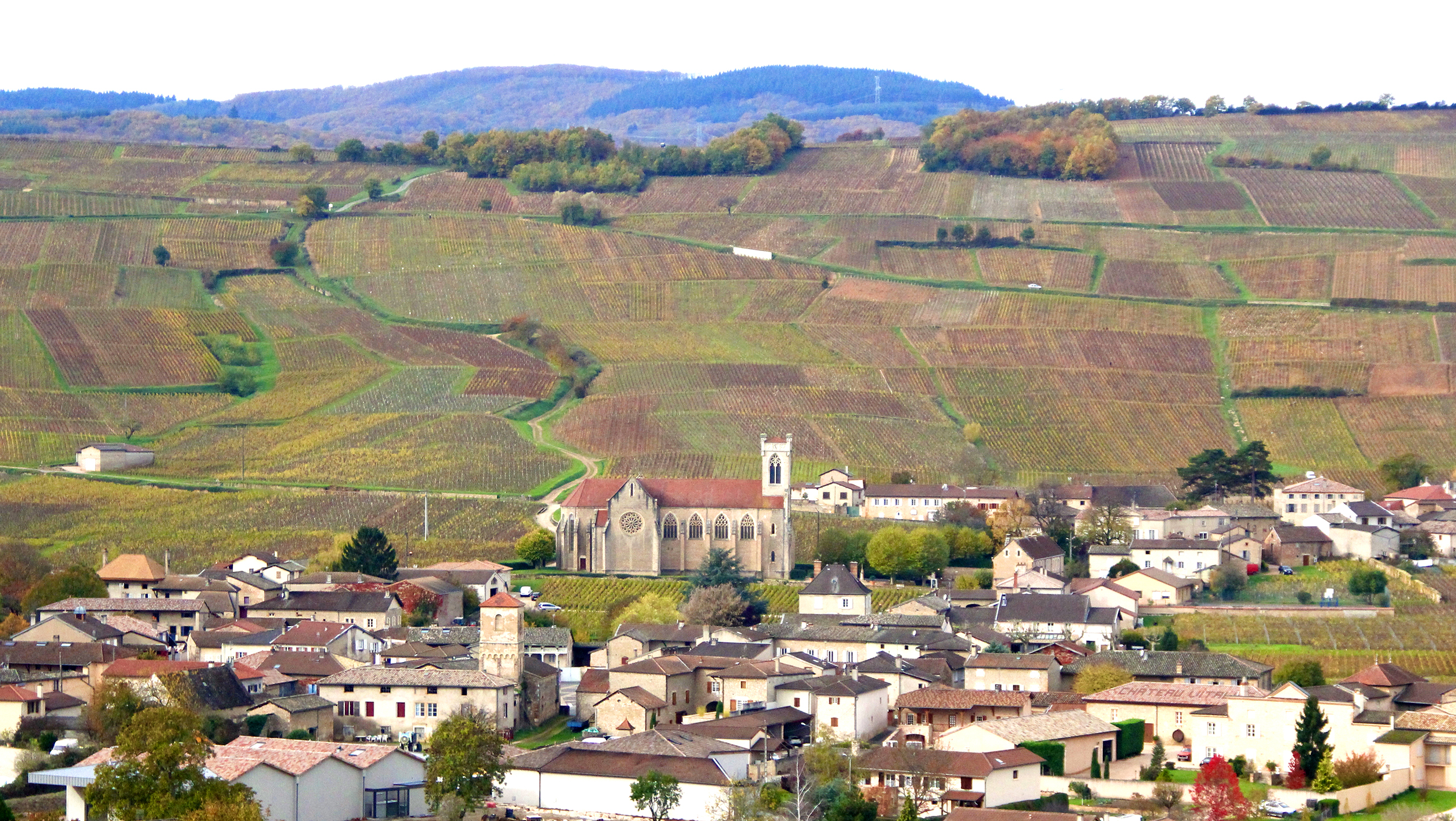 What Is The Future For Burgundy Wines In The U S Sevenfifty Daily