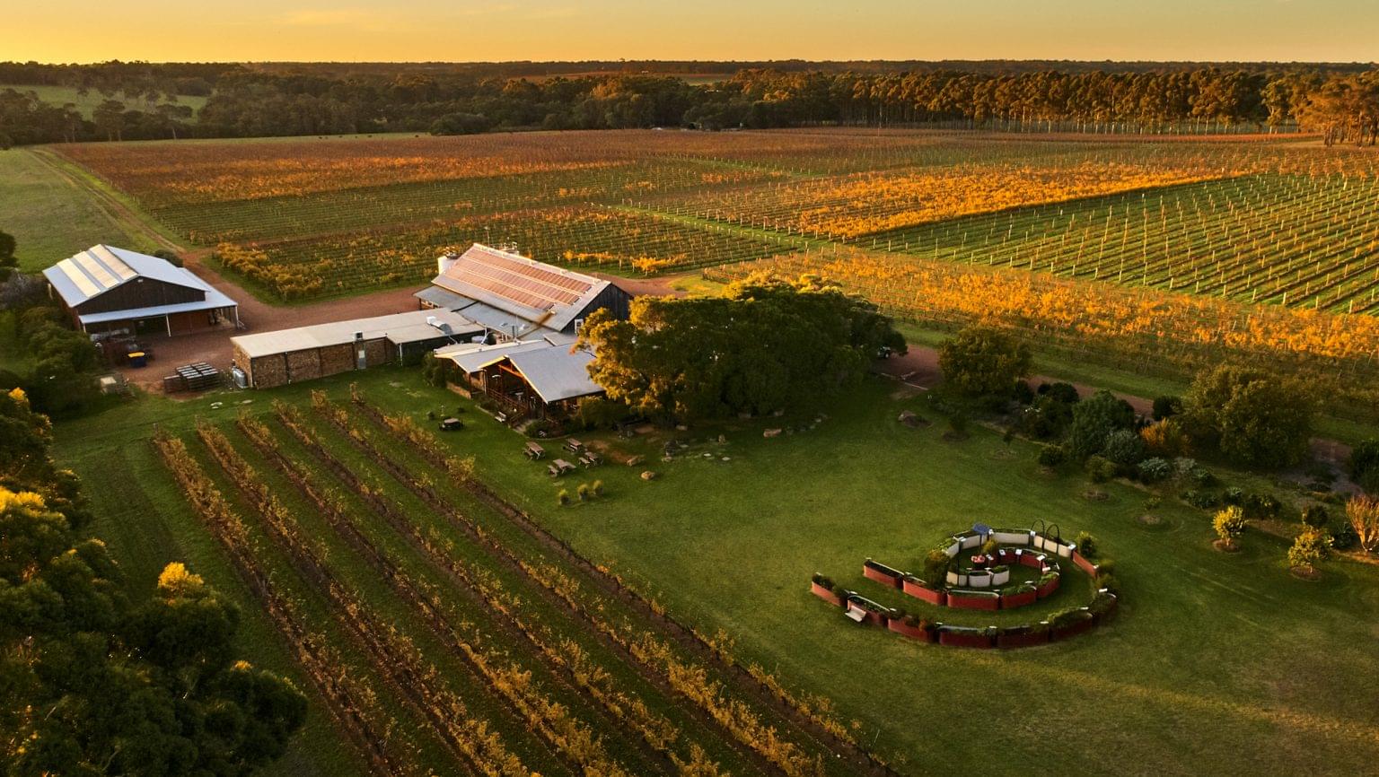 How Producers Are Making Climate-Friendly Winemaking a Reality - Vimarsana News