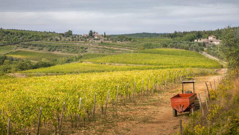Chianti Classico UGA subzones vineyards