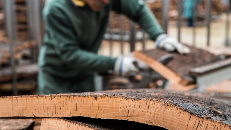 Cutting cork trees. Photo courtesy of Amorim.