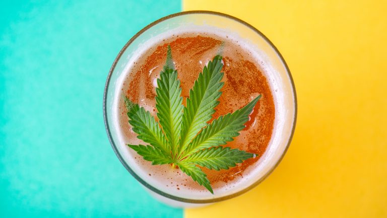 Detail of cold glass of beer with cannabis leaf, marijuana infused beverage concept.