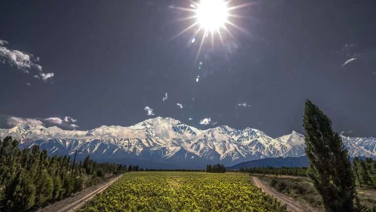 At Adrianna Vineyard, 1,500 meters high in the Andes, there is less atmosphere between space and the vine. Photo courtesy of Catena Institute of Wine.