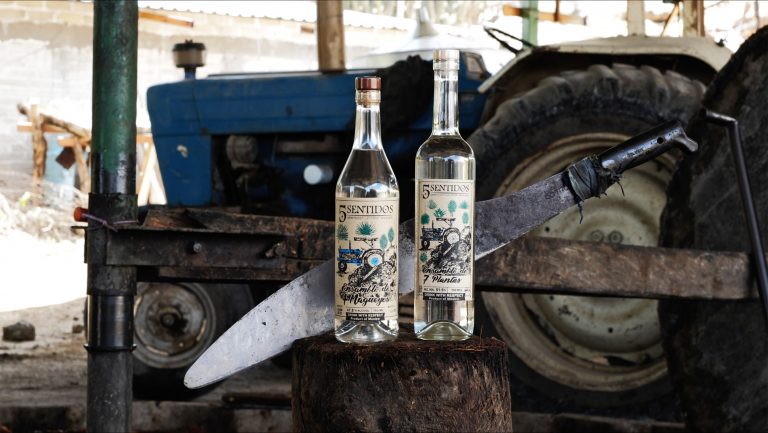 Cinco Sentidos is sourced from small-batch producers for each expression, the bottles are labeled with the name of the producer and detail the production practices. Photo credit: Hector Perez.