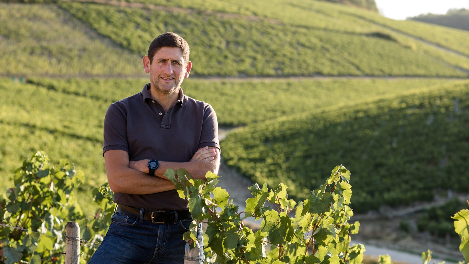 How William Fèvre’s Latest Vintage Overcame the Challenges of 2020 ...