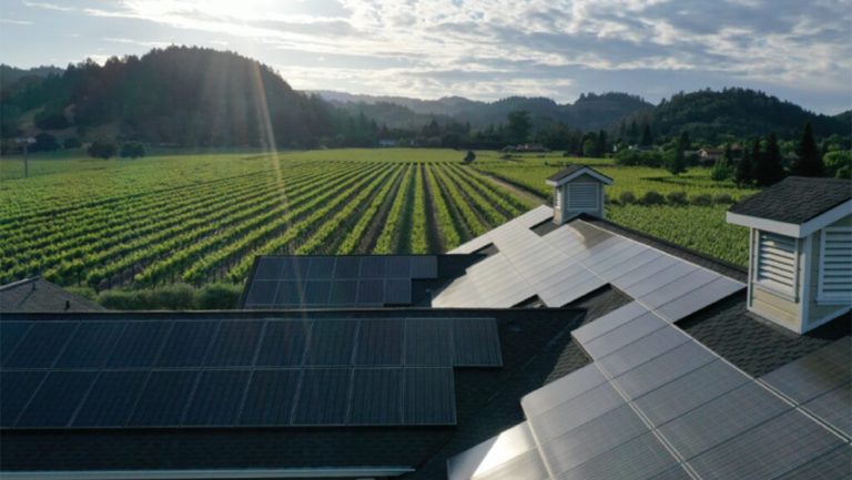 The energy efficient Spottswoode winery belongs to and supports various organizations with a focus on environmentalism. Photo credit: Yianni Stone, courtesy of Spottswoode Winery.