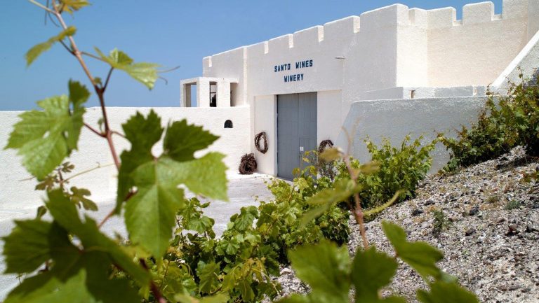 The entrance to Santo Wines in Santorini, it is a large, white, square building set against a clear blue sky with lush greenery in the foreground.