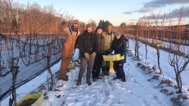 Growers from Champlain Valley pose in their vineyard
