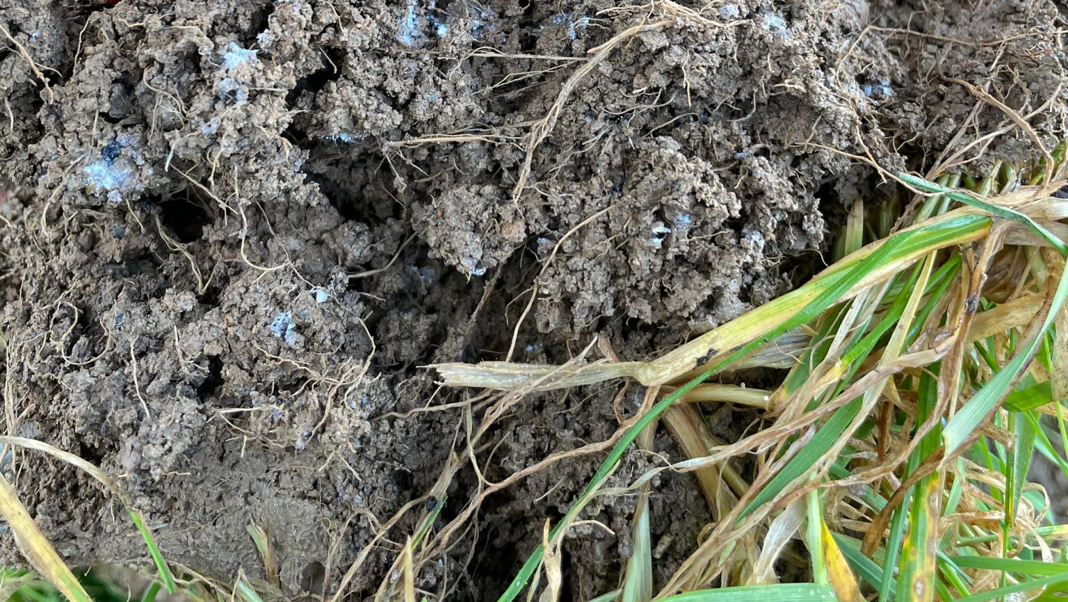 Close up of soil