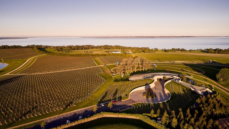 Aerial photograph of PT Leo Estate vineyards in Victoria