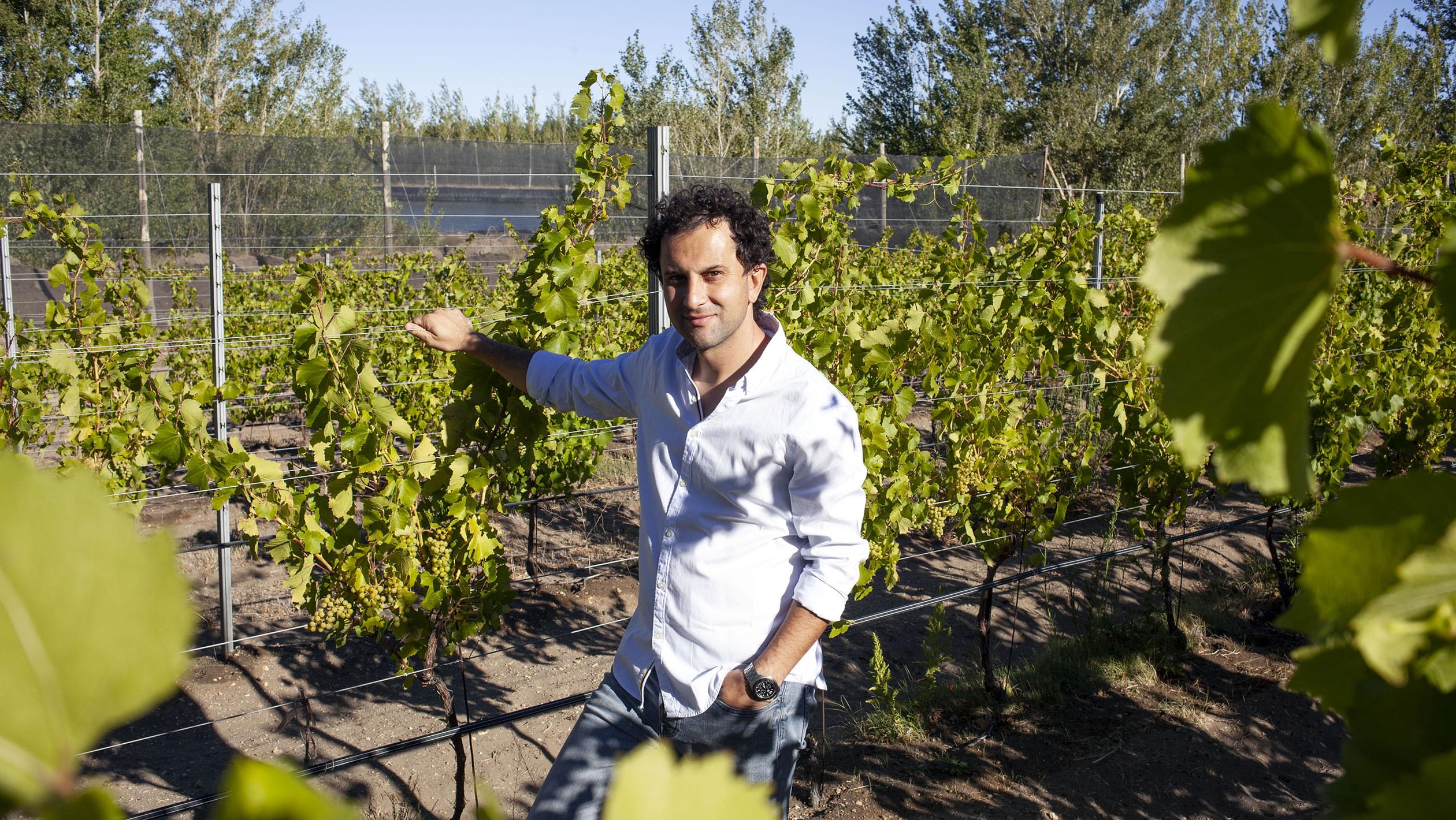 Juan Pablo Murgia stands in a vineyard during the day