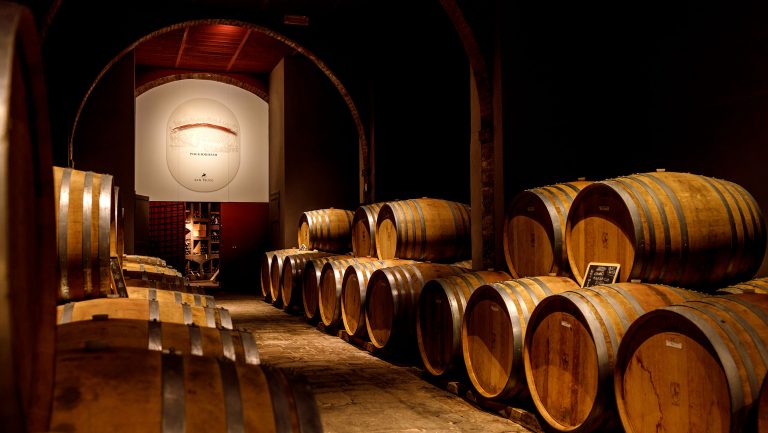 A cellar full of wine barrels