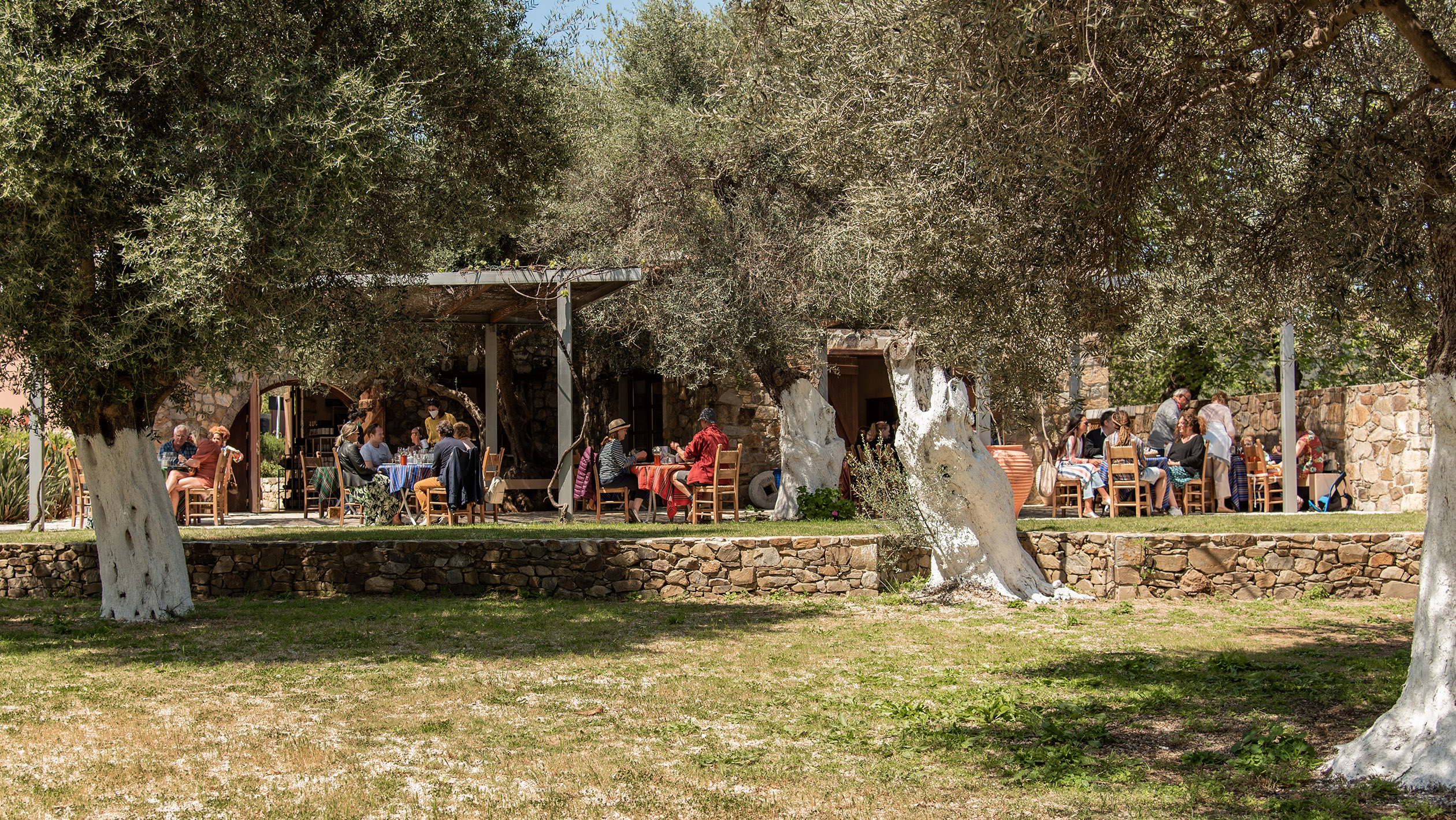 A collection of people sit outside at a winery in Crete