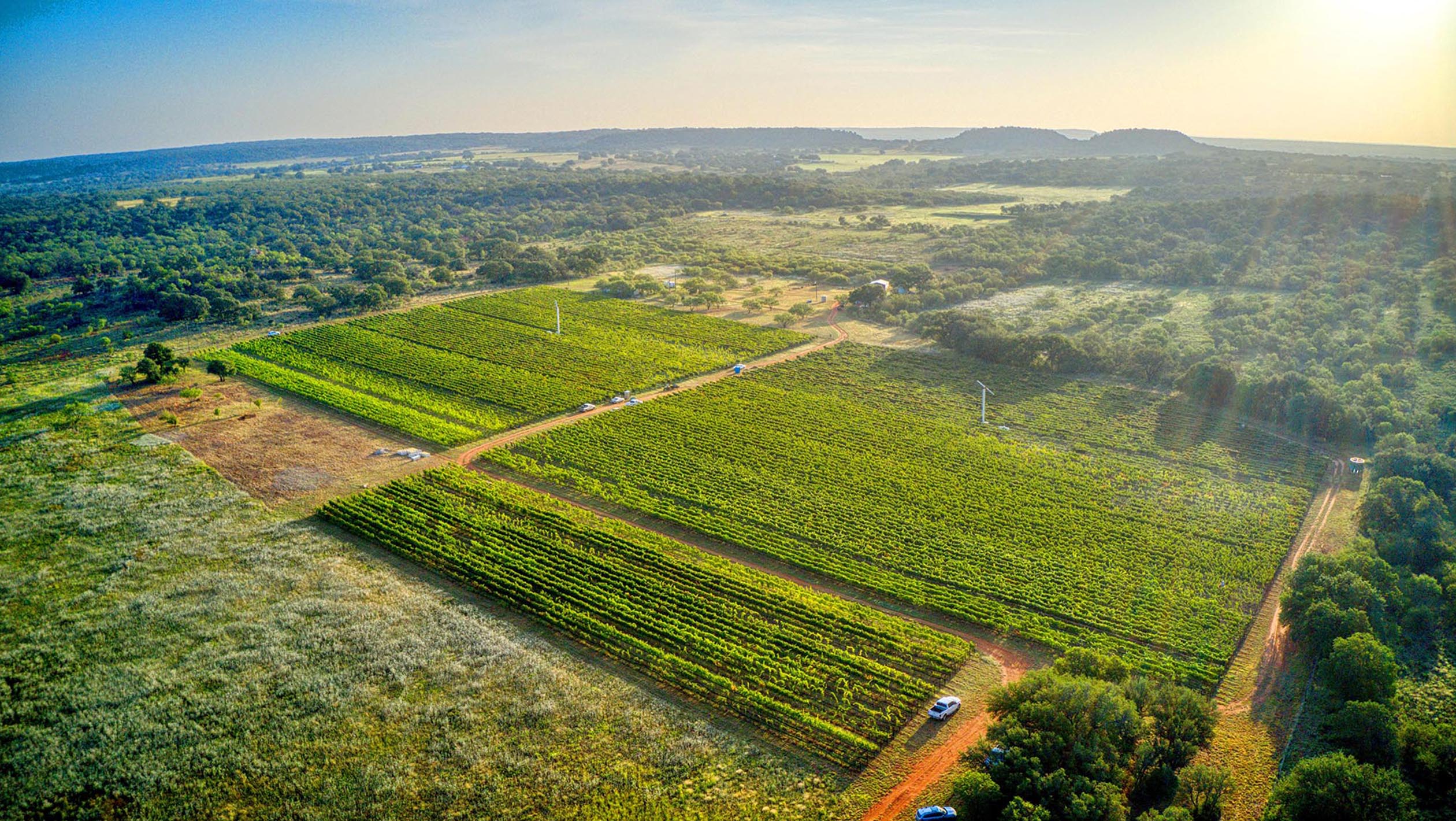 An aerial view of a Llano Uplift vineyard