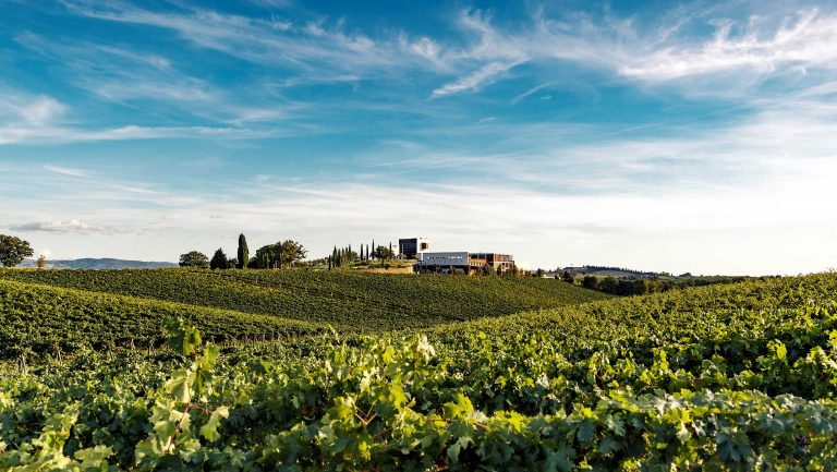A wide landscape photograph of ColleMassari vineyards
