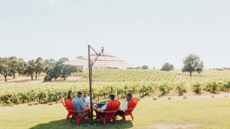 A group of people sit at an outdoor table in front of a vineyard