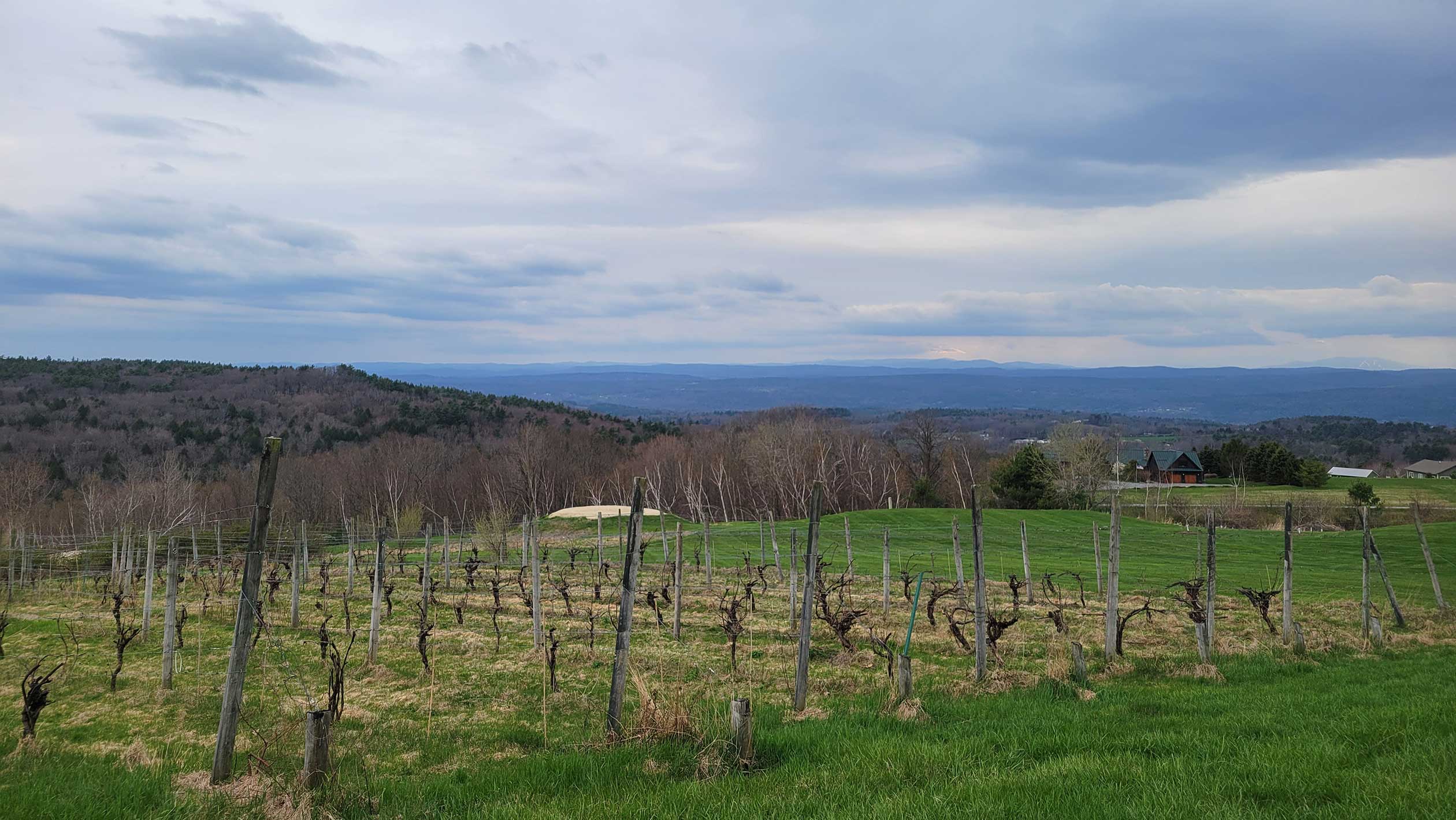 A landscape photgraph of a NOK Vino vineyard in New Hampshire