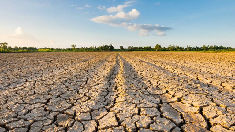 Mexico's distilling and brewing companies are at the center of the conflict over water consumption during this years-long water crisis.