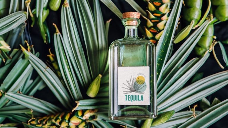 A bottle of tequila on a bed of agave plants