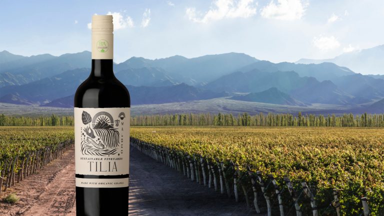 A bottle of TILIA wine superimposed onto a photo of a TILIA vineyard