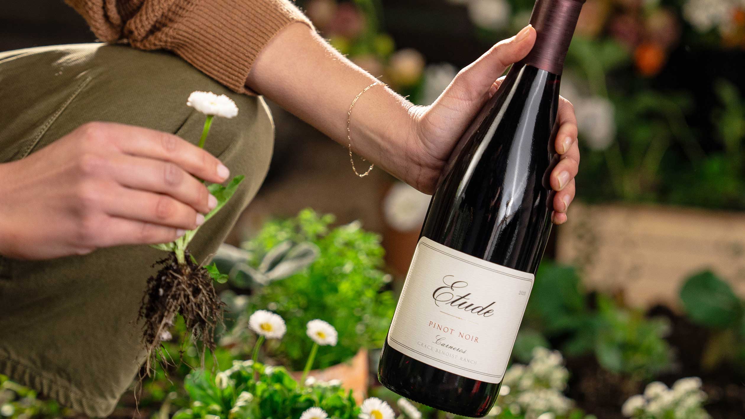 A closeup of a hand holding up a bottle of Etude Pinot Noir