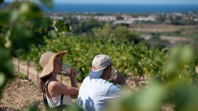 IGP Méditerranée's rosés can be enjoyed no matter the time of year. Photo credit: Adobe Stock.