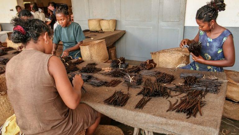 workers with vanilla