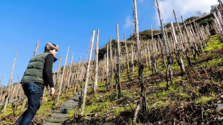Vom Boden wines