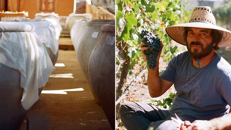 Mexico Wines