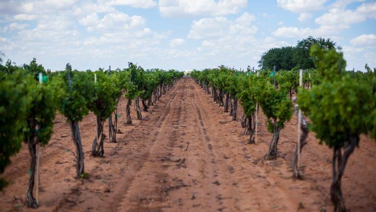 Pheasent Ridge Winery