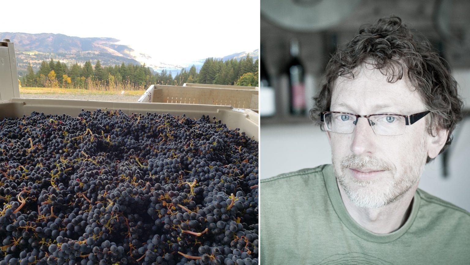 Savage Grace Wines