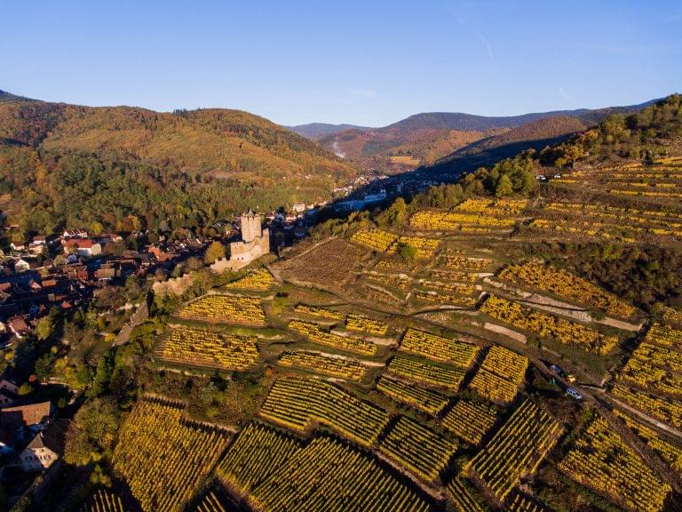 Alsace