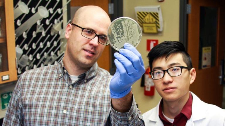 Matthew Farber and Kent Pham