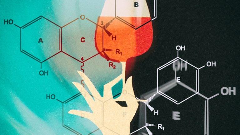 Tannin molecules