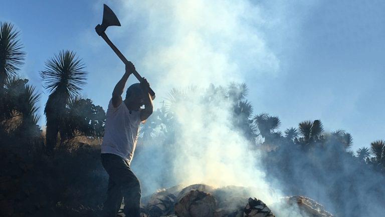 Exploring Mezcal's Next Wave