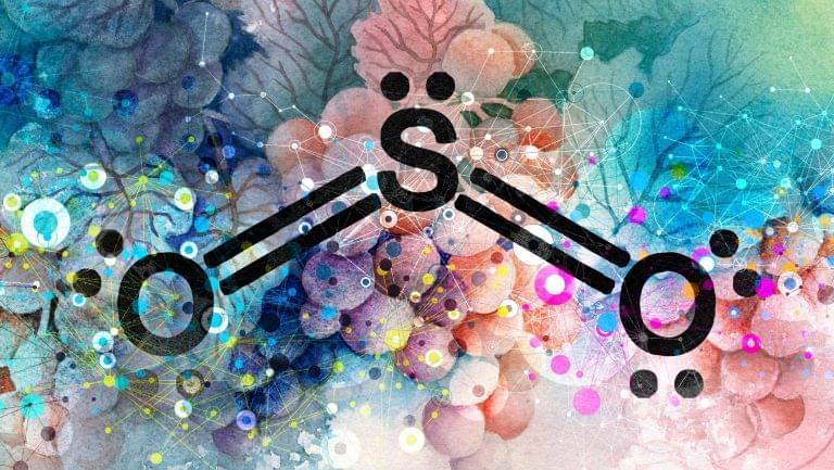 How Sulfites Affect a Wine’s Chemistry