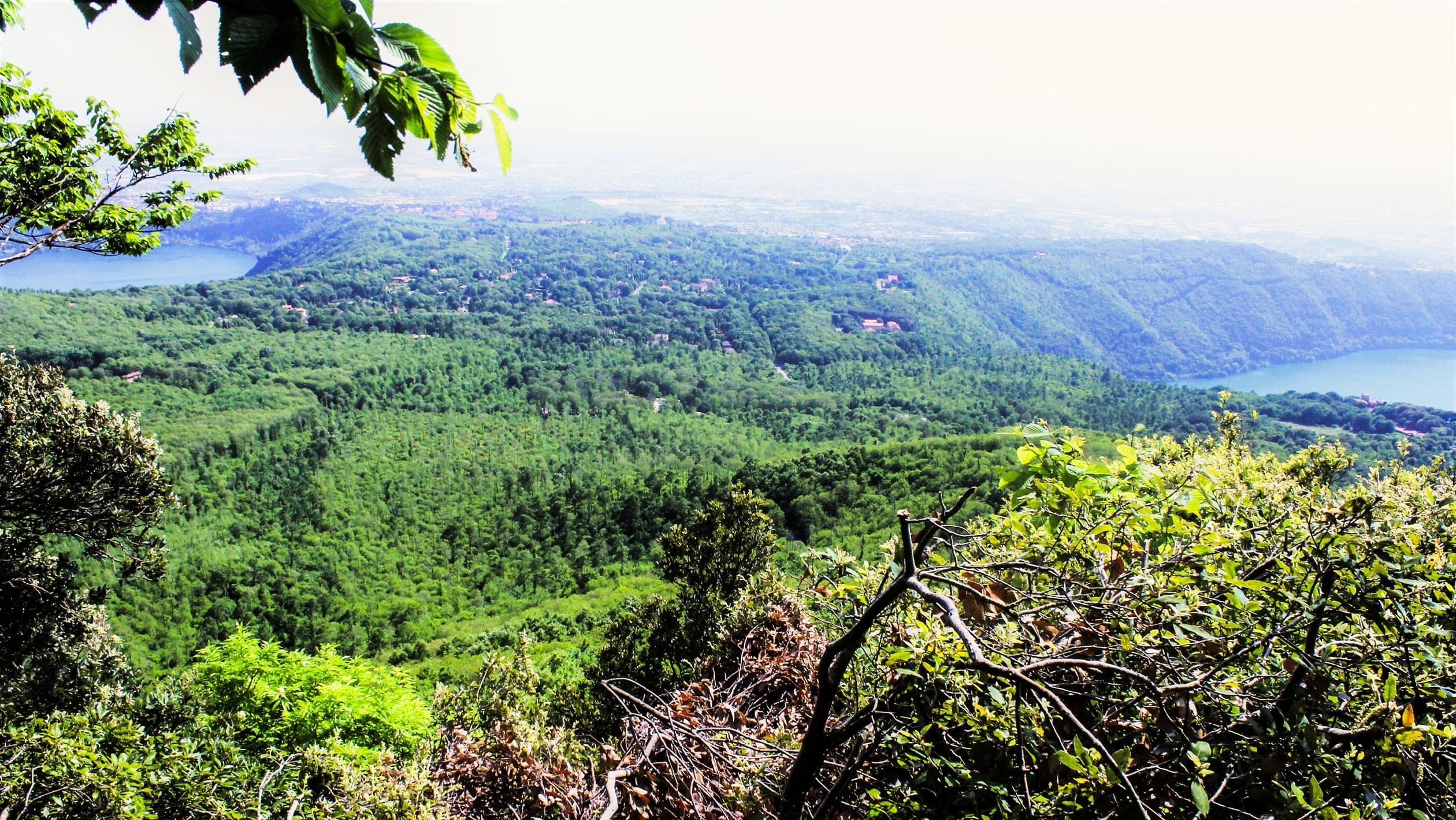 A New Generation of Natural-Wine Producers Is Revolutionizing Italy's Lazio  Region | SevenFifty Daily, image size:2520x1420