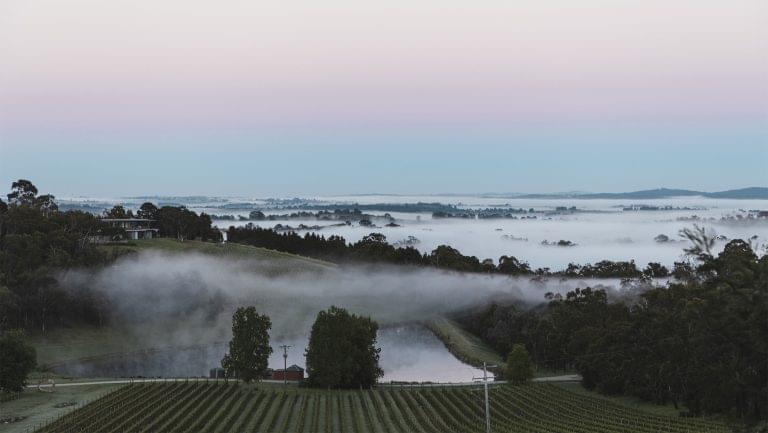 Wine Australia